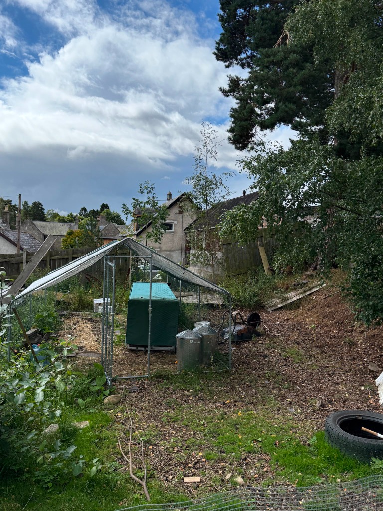 The plot — chicken coop area